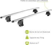 Green Valley 2 Barras de techo de aluminio, fijación en techo normal, listas para usar y robustas, hasta 75 kg, Easy One N°104