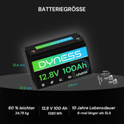 Batería de litio Dyness 12V 100Ah LiFePO4 con BMS 100A, protección de baja temperatura, para autocaravanas, sistemas solares, caravanas, barcos y sistemas aislados.