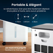 Enfriador de aire portátil Pro Breeze de 5 L, ventilador, humidificador, 3 velocidades, oscilación automática, temporizador, mando a distancia: enfriador de aire evaporativo móvil y potente