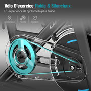 Bicicleta Estática, Bicicleta de Fitness para Ejercicio en Interiores Silenciosa con Pantalla LCD, Manillar y Asiento Ajustables, Resistencia Regulable para Entrenamiento Cardiovascular en Casa