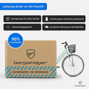 Bergsteiger Amsterdam Bicicleta de paseo para mujer de 26/28 pulgadas, estilo retro holandés, 1 velocidad