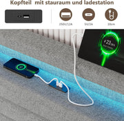 Cama FEONASE 180x200 con almacenamiento, cama tapizada de 180x200 cm con iluminación LED y estación de carga, estructura de cama con elevación hidráulica y cabecero de lino con almacenamiento, somier, sin colchón, gris claro