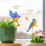 Inserto de vidriera de pájaros para plantas