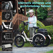 MOONCOOL Bicicleta eléctrica de tres ruedas plegable, bicicleta eléctrica de 20" para hombre y mujer, batería de 36V 20Ah, motor de 250W 45 Nm, pantalla LCD, resistente al agua IP65, 3 modos de conducción, con cestas grandes y reposapiés