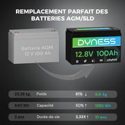 Batería de litio Dyness 12V 100Ah LiFePO4 con BMS 100A, protección de baja temperatura, para autocaravanas, sistemas solares, caravanas, barcos y sistemas aislados.