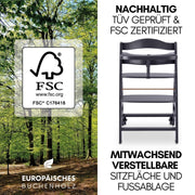 Hauck Beta+ Trona con set para recién nacidos y hamaca premium - Gris oscuro | Trona de madera evolutiva con ruedas desde el nacimiento hasta los 90 kg | incluye adaptador para recién nacidos, bandeja para comer y cojín de asiento