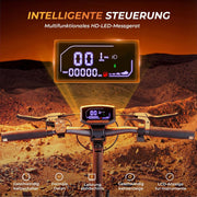 Patinete eléctrico con homologación (ABE), autonomía de 70 km, e-scooter todoterreno con doble suspensión, patinete de 10 pulgadas con capacidad de carga de 150 kg, pantalla LCD, patinete eléctrico plegable para adultos y viajeros.