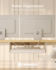 TRIUMPHKEY Escritorio regulable en altura 160x80 con puerto de carga USB, escritorio regulable en altura con 3 botones de memoria y bandeja para cables, mesa de ordenador, escritorio de pie, beige