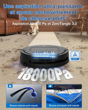 Robot aspirador y fregasuelos ECOVACS DEEBOT T80 Omni, 18 000 Pa, limpieza automática instantánea con rodillo OZMO, ZeroTangle 3.0, lavado con agua caliente a 40-75 ℃, secado con aire caliente, negro
