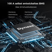 Batería de litio Dyness 12V 100Ah LiFePO4 con BMS 100A, protección de baja temperatura, para autocaravanas, sistemas solares, caravanas, barcos y sistemas aislados.