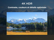 Smart TV LED TCL 43V6C de 43" 4K UHD, 4K HDR, Google TV con diseño sin bordes (Dolby Audio, Motion Clarity, compatible con Google Assistant y Alexa)
