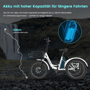 MOONCOOL Bicicleta eléctrica de tres ruedas plegable, bicicleta eléctrica de 20" para hombre y mujer, batería de 36V 20Ah, motor de 250W 45 Nm, pantalla LCD, resistente al agua IP65, 3 modos de conducción, con cestas grandes y reposapiés