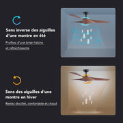 VONLUCE Ventilador de Techo Ø132CM 52 Pulgadas 3 Aspas sin Luz con Mando a Distancia Motor DC Silencioso Reversible 6 Velocidades para Dormitorio Patios Salón Granja, Nogal