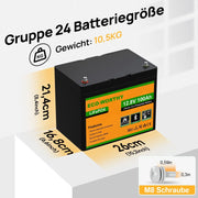 ECO-WORTHY LiFePO4 12V 100Ah Bluetooth con cargador de 12/24V 20A, BMS, protección contra bajas temperaturas para autocaravana, barco y caravana