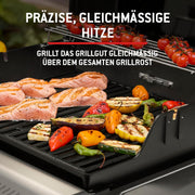 Barbacoa de gas Weber Spirit E-210, 2 quemadores, superficie de cocción de 51 x 46 cm, rejilla de calentamiento, termómetro en la tapa, 2 ruedas - Negro/Plata (1500833)