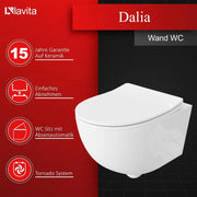 Set completo de elemento de instalación para inodoro Dalia DALIA inodoro suspendido de descarga profunda sin brida sistema de descarga Tornado asiento con cierre suave Delta 25 112 cm blanco