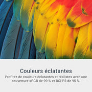 Monitor Dell 34 USB-C - S3425DW, WQHD (3440x1440), Curvo 21:9, 120Hz, VA, 1ms, AMD FreeSync Premium, HDR10, Ajustable en altura, Altavoces integrados, 2 USB-C, 2 HDMI, 2 USB, Garantía de 3 años