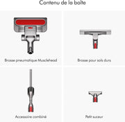Aspiradora de trineo Dyson Big Ball Parquet 2 – Accesorio especial para suelos de parqué