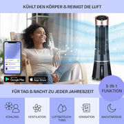 Klarstein 4 en 1: Enfriador de aire inteligente, ventilador, humidificador e ionizador I Depósito de agua de 6 L, oscilación, 30 W, 210 m³/h, temporizador I Aire acondicionado sin tubo de escape, aire acondicionado portátil, negro-oro rosa