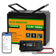 ECO-WORTHY LiFePO4 12V 100Ah Bluetooth con cargador de 12/24V 20A, BMS, protección contra bajas temperaturas para autocaravana, barco y caravana