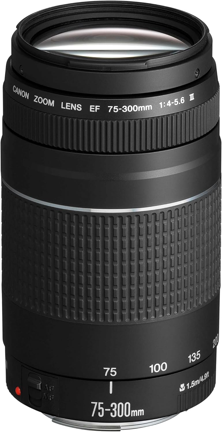 Objetivo Canon EF 75-300mm f/4.0-5.6 III [Modelo Antiguo]
