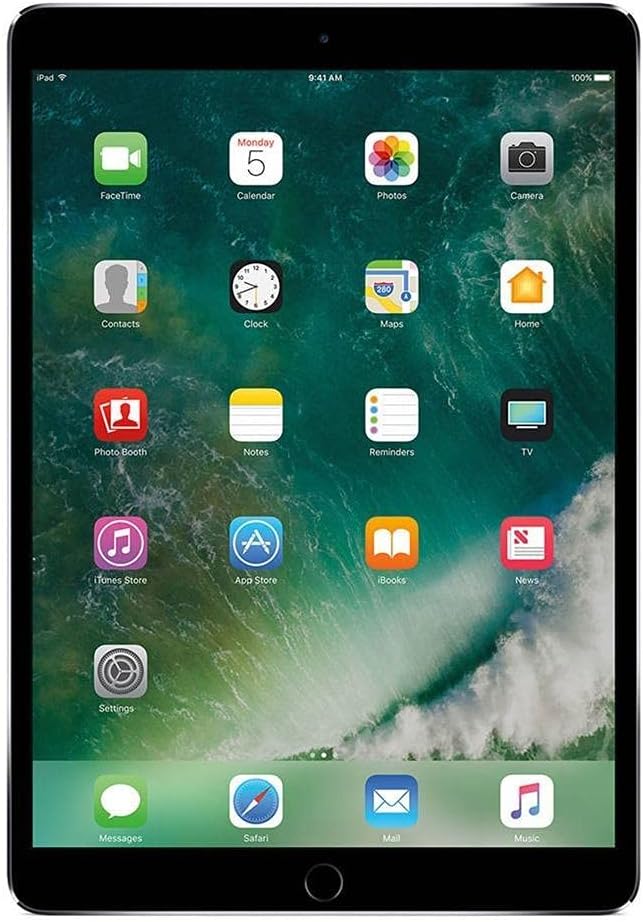 Apple iPad Pro 10.5 256 GB 4G - Gris espacial - Desbloqueado (Reacondicionado)
