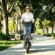 Patinete eléctrico TWOFISH M5 Elite con homologación para carretera para adultos, patinete eléctrico de 14 pulgadas con motor de 500W y batería de 48V 13Ah, doble suspensión, certificado EEC, IPX4, 30 km de autonomía