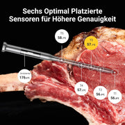 Termómetro de carne inalámbrico P4, 4 sondas, 6 sensores, WiFi, Bluetooth 5.3, IPX8, aplicación, termómetro para barbacoa, termómetro para asados