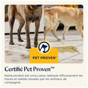 BISSELL SpotClean Pet Pro, Limpiador de tapicerías, potente motor de 750W, ideal para dueños de mascotas, limpiador de alfombras, moquetas, muebles, tejidos, coche y más, 15585