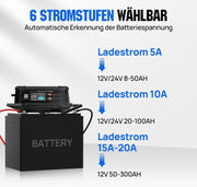 ECO-WORTHY LiFePO4 Bluetooth de 12V 100Ah con cargadores de 12/24V 20A, batería de litio de 12V 100Ah con protección BMS contra bajas temperaturas para autocaravanas, barcos y caravanas