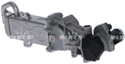 NRF 48213 Válvula EGR