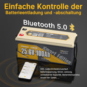 Batería de litio Power Queen Bluetooth 24V 100Ah, batería LiFePO4 con BMS de 100A, ciclos profundos, para camping, caravana, viajes, náutica, sistema solar
