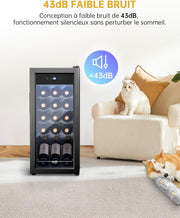 WIE Vinoteca 18 Botellas 53L Refrigerador de Vino 5°C-18°C Enfriamiento por Compresor Puerta de Cristal Panel Táctil LED Interior Nevera de Vino Bar Interior/Exterior