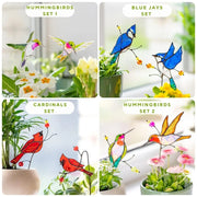 Inserto de vidriera de pájaros para plantas