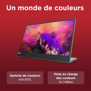 Monitor portátil Lenovo L15 (A21156FX0), pantalla de 15,6" (Full HD, IPS, 60 Hz, 6 ms, 2 entradas USB-C, cable a USB-C, inclinación ajustable) - Gris