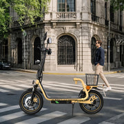 Patinete eléctrico TWOFISH M5 Elite con homologación para carretera para adultos, patinete eléctrico de 14 pulgadas con motor de 500W y batería de 48V 13Ah, doble suspensión, certificado EEC, IPX4, 30 km de autonomía