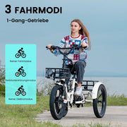 MOONCOOL Bicicleta eléctrica de tres ruedas plegable, bicicleta eléctrica de 20" para hombre y mujer, batería de 36V 20Ah, motor de 250W 45 Nm, pantalla LCD, resistente al agua IP65, 3 modos de conducción, con cestas grandes y reposapiés