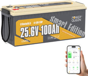Batería de litio Power Queen Bluetooth 24V 100Ah, batería LiFePO4 con BMS de 100A, ciclos profundos, para camping, caravana, viajes, náutica, sistema solar
