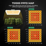 MARS HYDRO Kit completo de tienda de cultivo inteligente con controlador integrado WiFi, lámpara de cultivo TS1000 programable y regulable, caja de cultivo de alta reflectividad 1680D de 80x80x160 cm, kit de ventilación automática de 4"