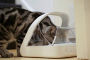 Comedero automático con microchip para mascotas Sure Petcare SureFeed, con tapa de cierre hermético, compatible con colgante de collar RFID, apto para comida húmeda y seca, funciona con pilas, blanco