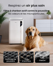 Deshumidificador de Aire con Compresor Inteligente Pro Breeze 20L/día - Eficiente, Modo Lavandería, Wi-Fi, Sensor e Indicador de Humedad, Filtro de Carbón para Moho y Humedad