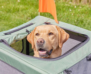 Remolque para bicicletas para perros Knuffelwuff Cruvado 45 kg, plegable, ligero, correa de seguridad, reflectores, enganche universal