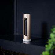 Cámara de vigilancia interior inteligente Netatmo con soporte de pared, WiFi 2,4 GHz, detección de movimiento, visión nocturna, sin suscripción, NSC-AMZ, 1920p