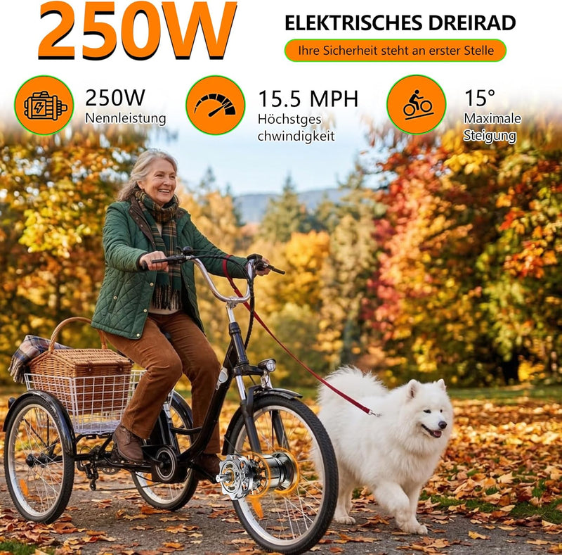 Triciclo eléctrico para adultos de 24 pulgadas para hombres y mujeres, bicicleta eléctrica de 3 ruedas con batería de litio de 36V 15Ah, motor de 250W, bicicleta de carga, pantalla LCD, velocidad de 25 KM/H