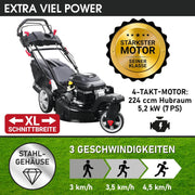 Cortacésped de gasolina BRAST® Trike con tracción | 5,2kW (7CV) | 53cm de ancho de corte | muchos modelos | TÜV | motor OHV de 4 tiempos | 30-80mm de altura de corte | 60L de saco de recogida | carcasa de acero | velocidad