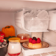 Cecotec Mini Frigorífico Bolero CoolMarket TT Origin 45 Beige E. Frigorífico con 55 cm de altura y 44,7 cm de ancho, Clase Energética E, Compartimento de Hielo y Tirador Cromado, Beige