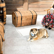 CREATIVE COOPER Baúl de madera 180L – Arcón de almacenamiento clásico en madera de aliso aceitada – Diseño vintage – Para salón, terraza y jardín – 80x50x50 cm