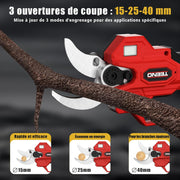 TEENO Tijeras de podar eléctricas 2 en 1 con pértiga telescópica, tijeras de podar inalámbricas de 40 mm con pantalla de 4000 mAh, 2 baterías de 2,0 Ah, para jardinería y árboles frutales