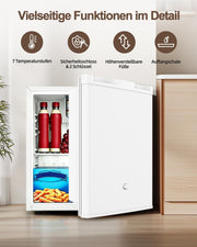 Mininevera WELLENT de 46 L - frigorífico pequeño sin congelador, puerta reversible, termostato de 7 niveles, funcionamiento silencioso (43 dB), ideal para dormitorios, oficinas y residencias de estudiantes