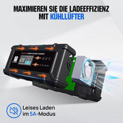 ECO-WORTHY LiFePO4 Bluetooth de 12V 100Ah con cargadores de 12/24V 20A, batería de litio de 12V 100Ah con protección BMS contra bajas temperaturas para autocaravanas, barcos y caravanas